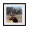 Stupell Industries Stunning Elk Portrait Black Framed Print Under Glass, design by Danita Delimont